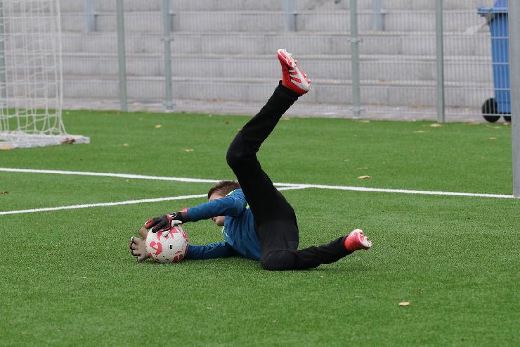 klik hier voor de originele foto (347kB - 1600x1068)