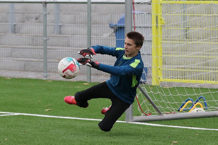 klik hier voor de originele foto (380kB - 1600x1068)