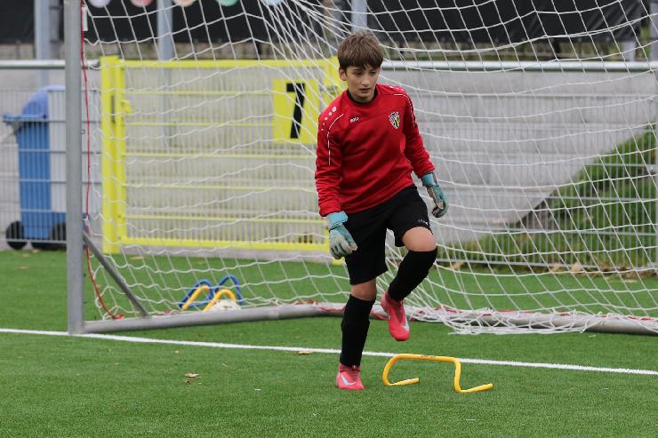 klik hier voor de originele foto (390kB - 1600x1068)