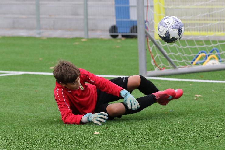 klik hier voor de originele foto (348kB - 1600x1068)