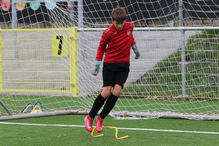 klik hier voor de originele foto (455kB - 1600x1068)