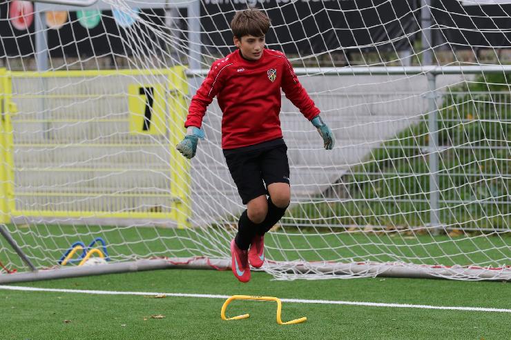 klik hier voor de originele foto (397kB - 1600x1068)