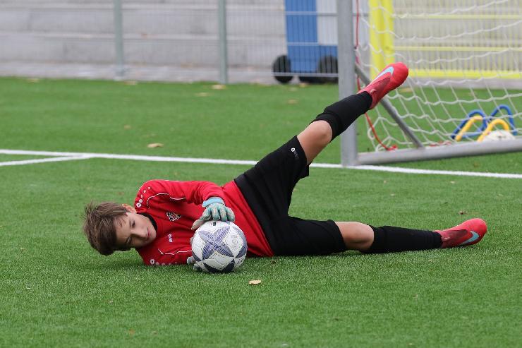 klik hier voor de originele foto (338kB - 1600x1068)