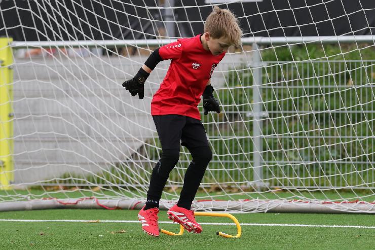 klik hier voor de originele foto (399kB - 1600x1068)