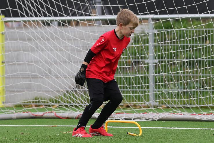 klik hier voor de originele foto (388kB - 1600x1068)