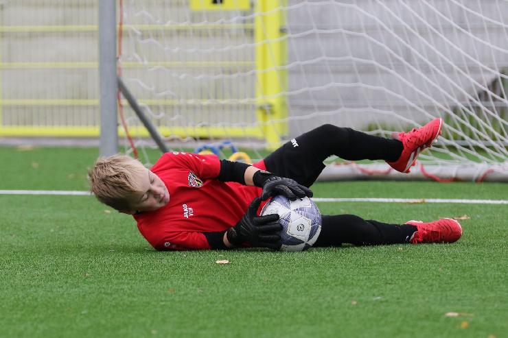 klik hier voor de originele foto (297kB - 1600x1068)