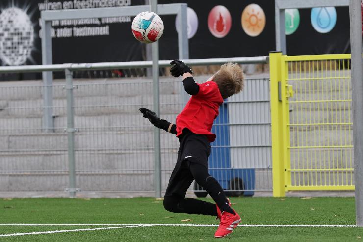 klik hier voor de originele foto (299kB - 1600x1068)