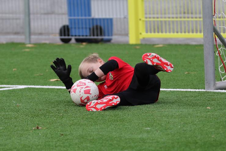 klik hier voor de originele foto (317kB - 1600x1068)