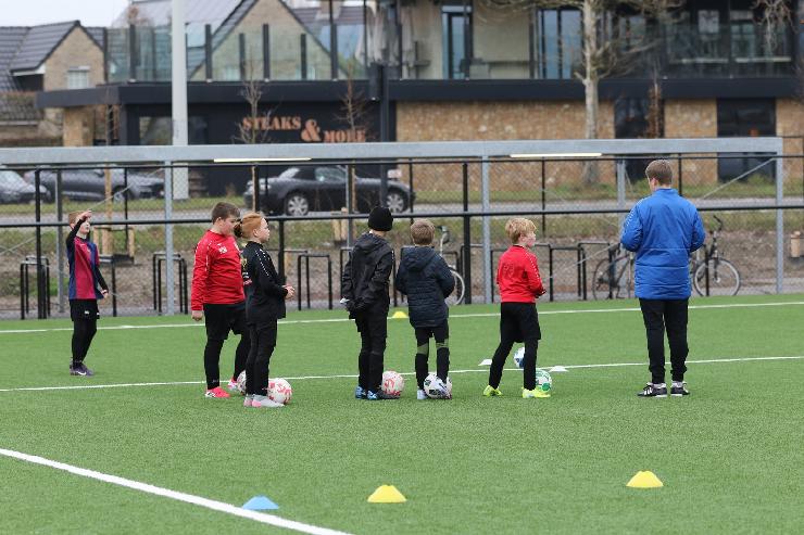 klik hier voor de originele foto (385kB - 1600x1067)