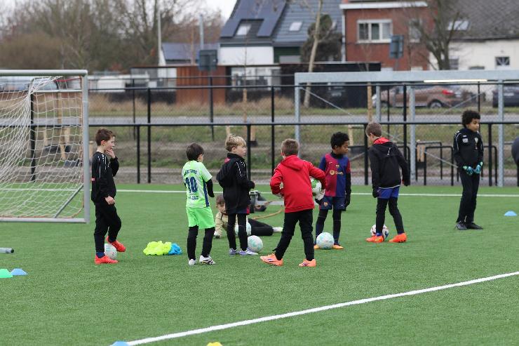 klik hier voor de originele foto (392kB - 1600x1067)