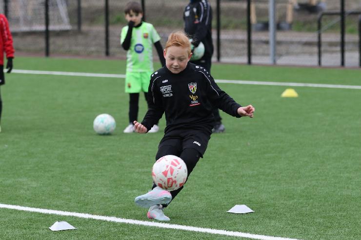 klik hier voor de originele foto (293kB - 1600x1067)