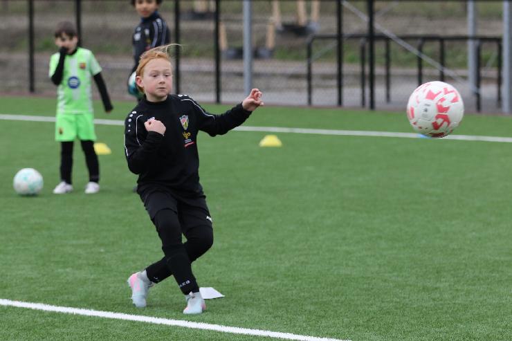 klik hier voor de originele foto (256kB - 1600x1067)