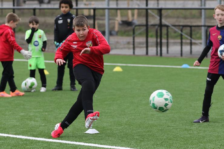 klik hier voor de originele foto (289kB - 1600x1067)