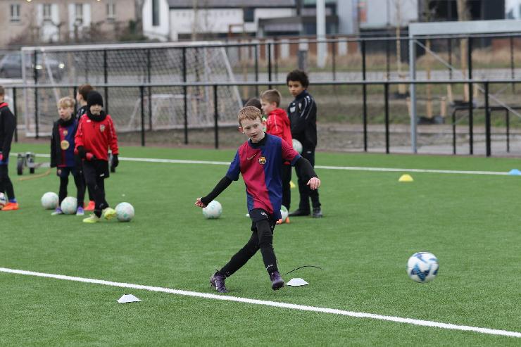 klik hier voor de originele foto (344kB - 1600x1067)