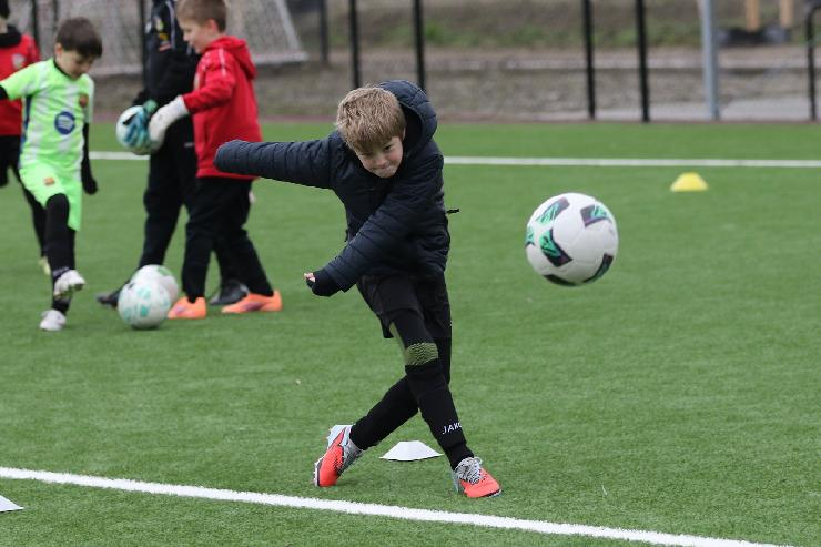 klik hier voor de originele foto (286kB - 1600x1067)