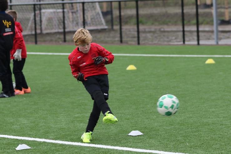 klik hier voor de originele foto (282kB - 1600x1067)