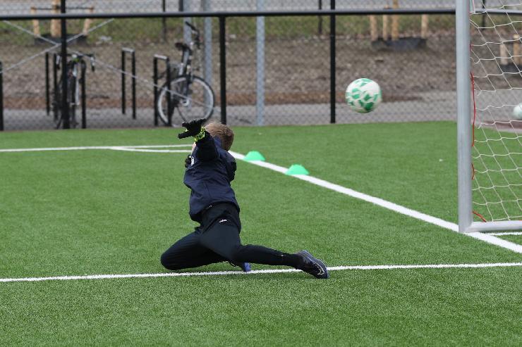 klik hier voor de originele foto (410kB - 1600x1067)