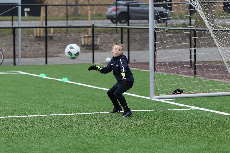 klik hier voor de originele foto (423kB - 1600x1067)