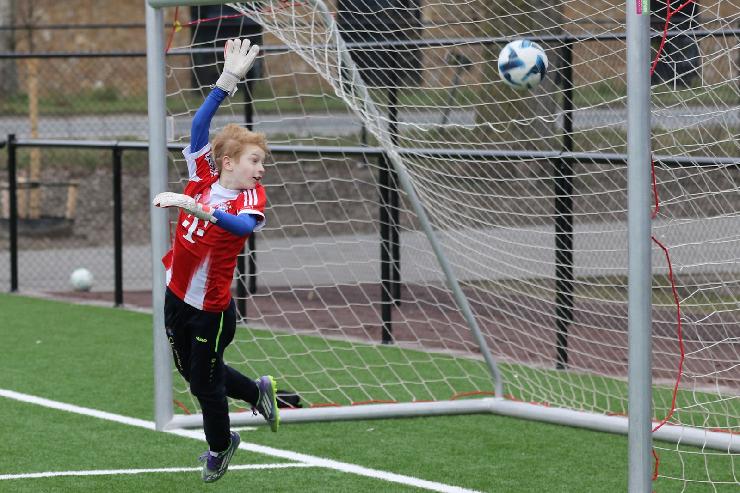 klik hier voor de originele foto (377kB - 1600x1067)