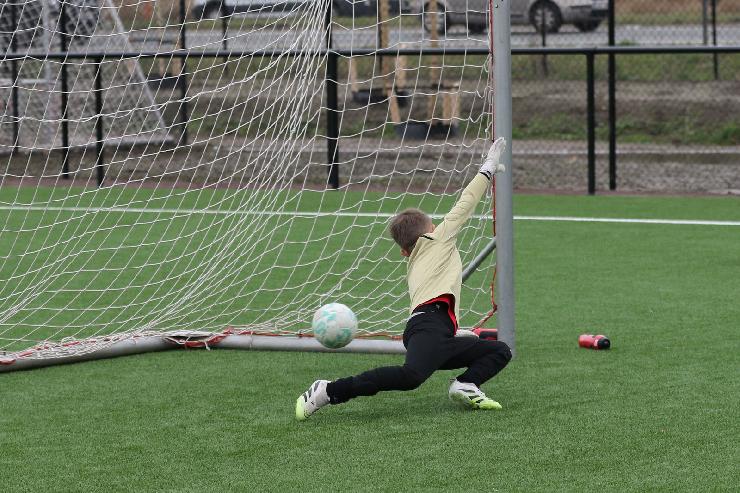 klik hier voor de originele foto (469kB - 1600x1067)