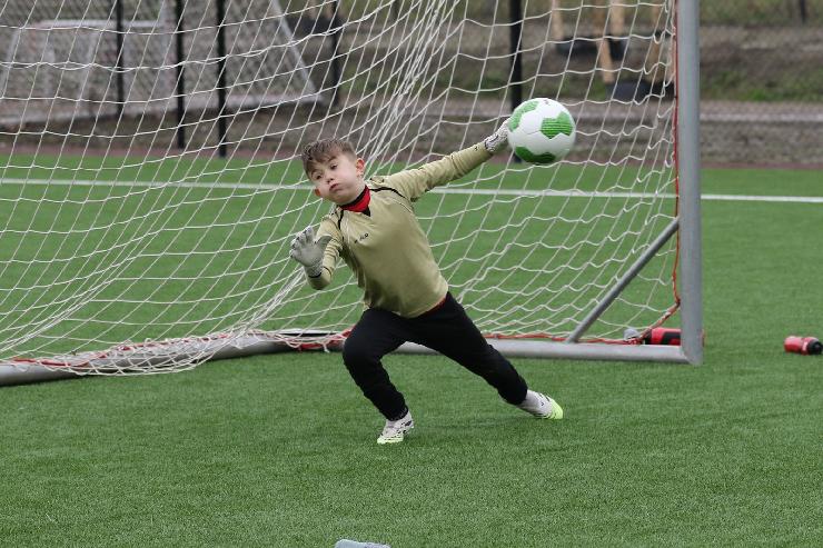 klik hier voor de originele foto (451kB - 1600x1067)