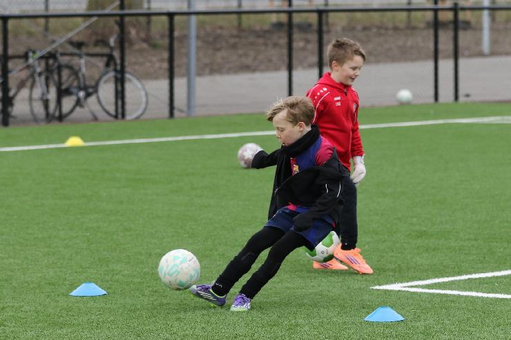 klik hier voor de originele foto (296kB - 1600x1067)