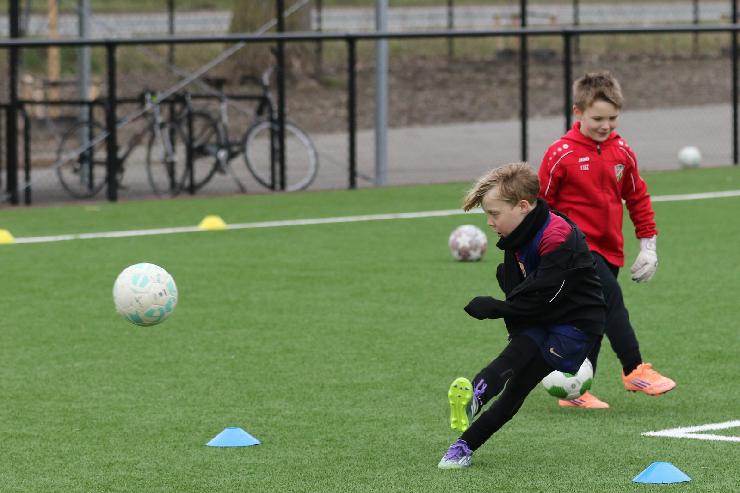 klik hier voor de originele foto (284kB - 1600x1067)