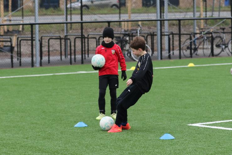 klik hier voor de originele foto (320kB - 1600x1067)