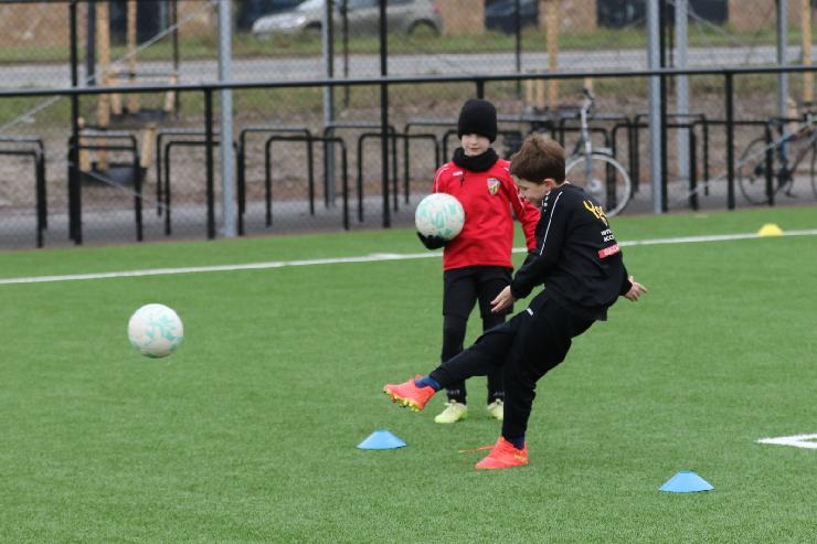 klik hier voor de originele foto (288kB - 1600x1067)