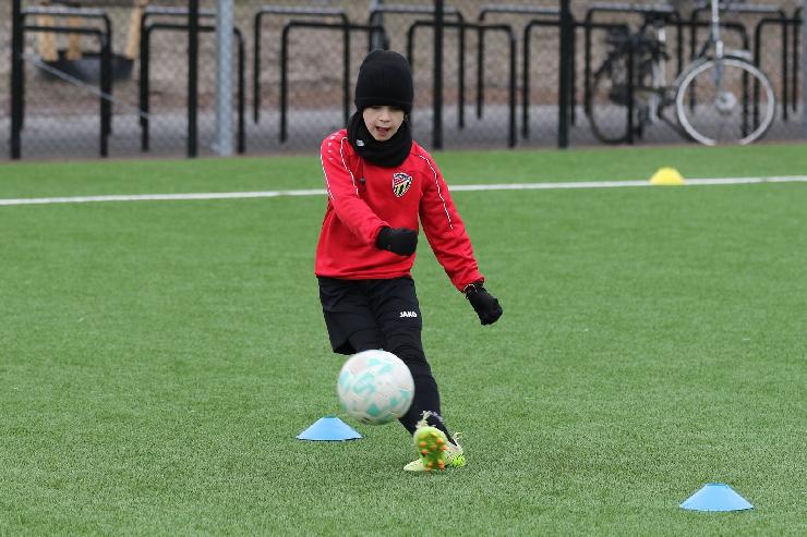 klik hier voor de originele foto (377kB - 1600x1067)