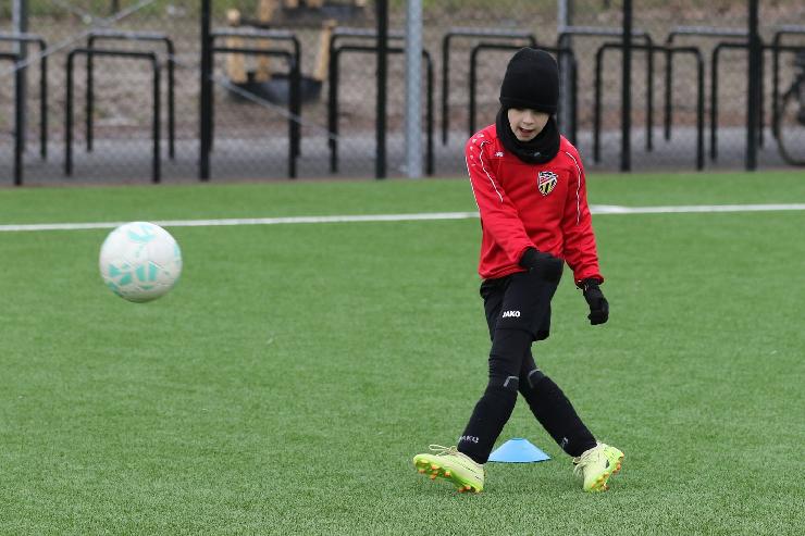 klik hier voor de originele foto (328kB - 1600x1067)