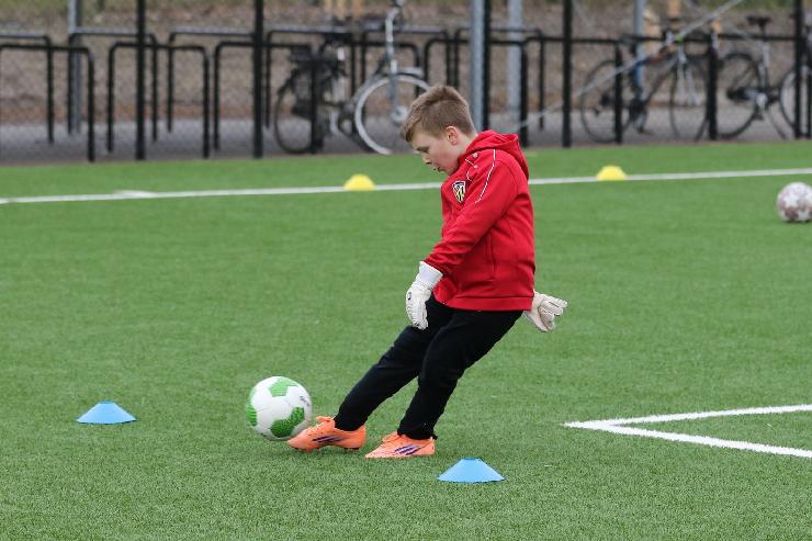 klik hier voor de originele foto (348kB - 1600x1067)