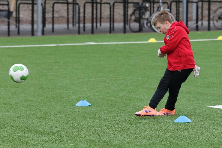 klik hier voor de originele foto (375kB - 1600x1067)