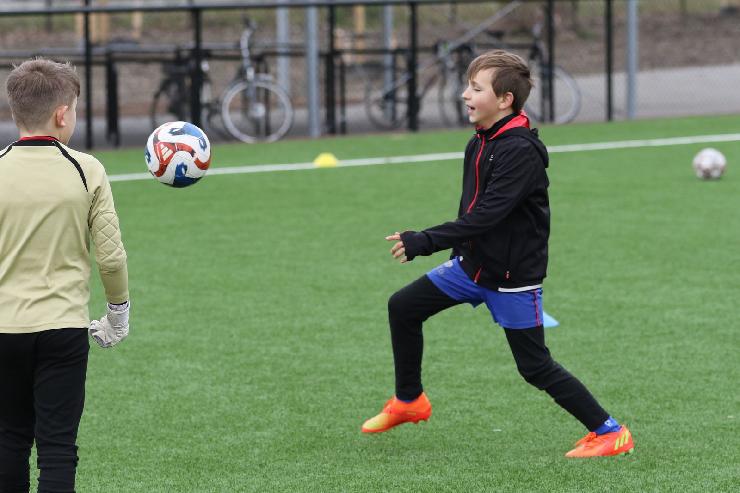 klik hier voor de originele foto (266kB - 1600x1067)