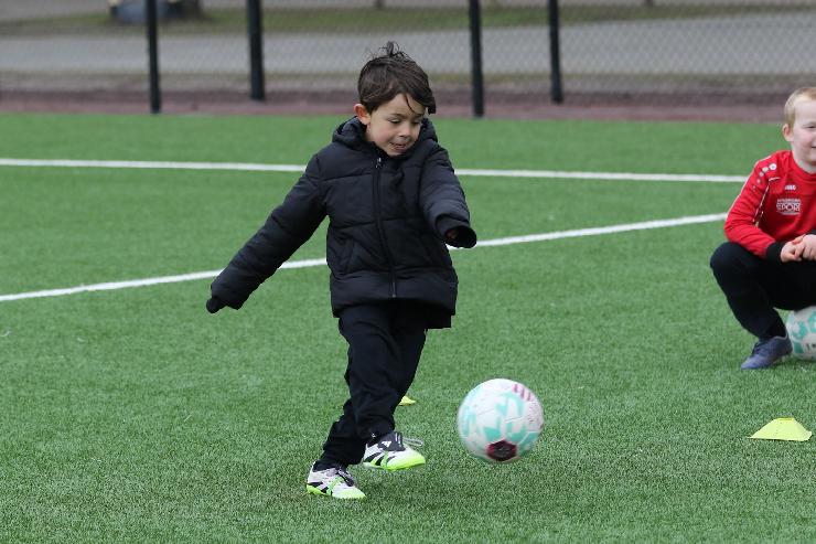 klik hier voor de originele foto (375kB - 1600x1067)