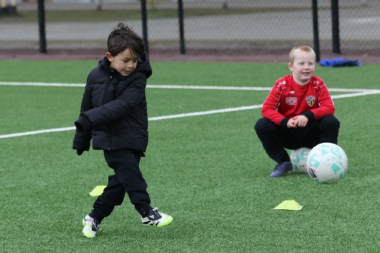 klik hier voor de originele foto (346kB - 1600x1067)