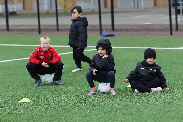 klik hier voor de originele foto (360kB - 1600x1067)