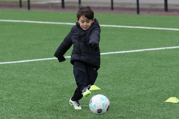 klik hier voor de originele foto (321kB - 1600x1067)