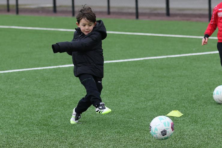 klik hier voor de originele foto (337kB - 1600x1067)