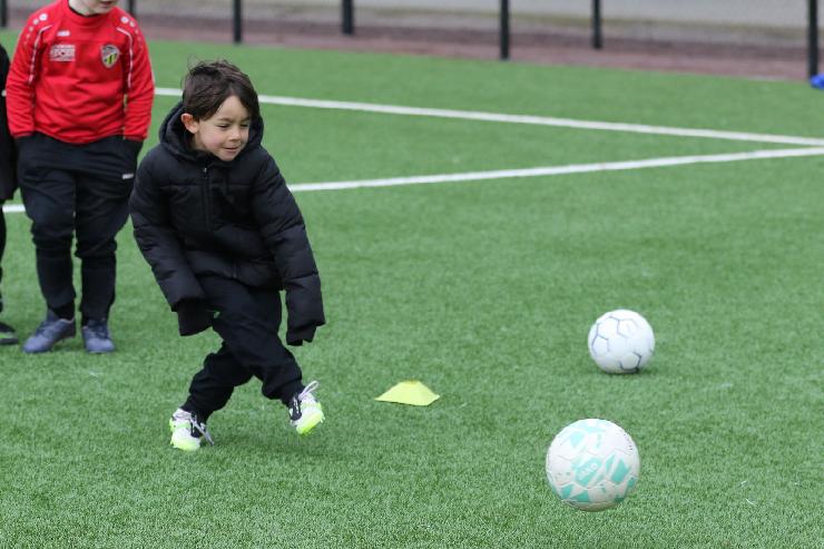 klik hier voor de originele foto (319kB - 1600x1067)