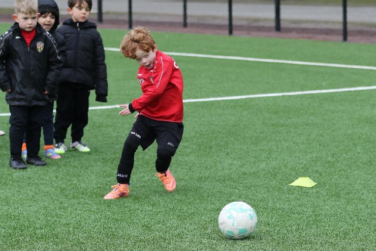 klik hier voor de originele foto (371kB - 1600x1067)