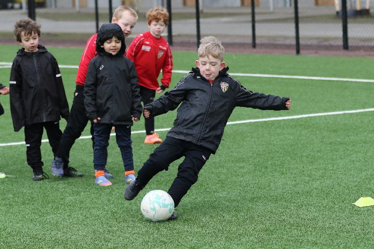 klik hier voor de originele foto (412kB - 1600x1067)