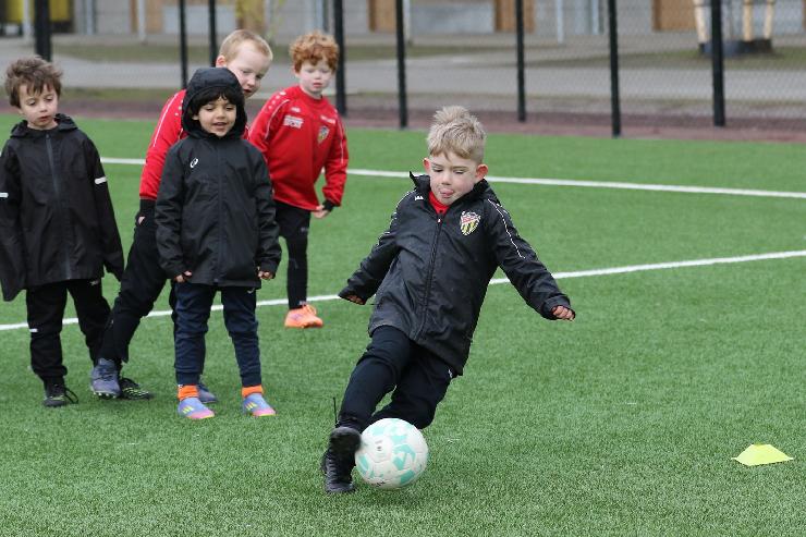 klik hier voor de originele foto (397kB - 1600x1067)