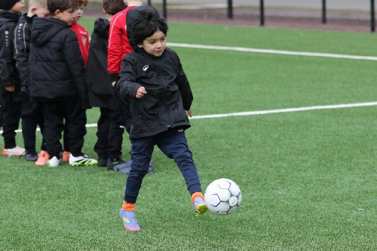 klik hier voor de originele foto (339kB - 1600x1067)