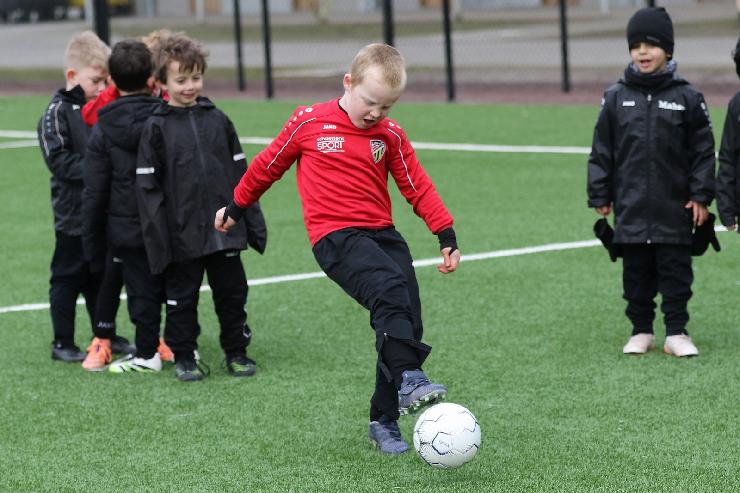 klik hier voor de originele foto (325kB - 1600x1067)