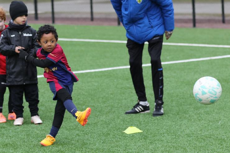 klik hier voor de originele foto (268kB - 1600x1067)