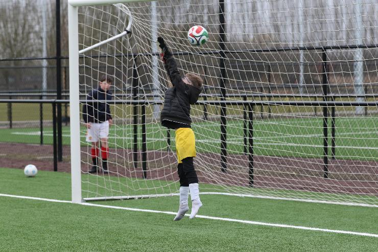 klik hier voor de originele foto (452kB - 1600x1067)