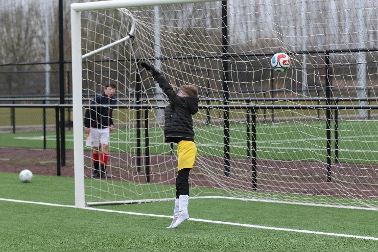 klik hier voor de originele foto (444kB - 1600x1067)