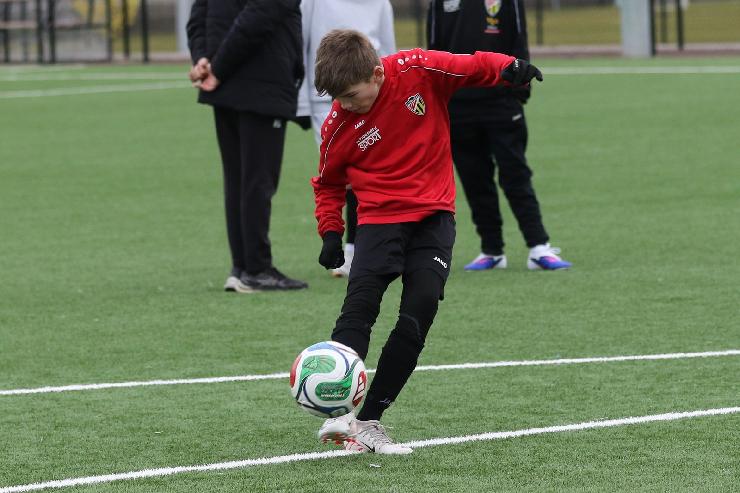 klik hier voor de originele foto (318kB - 1600x1067)