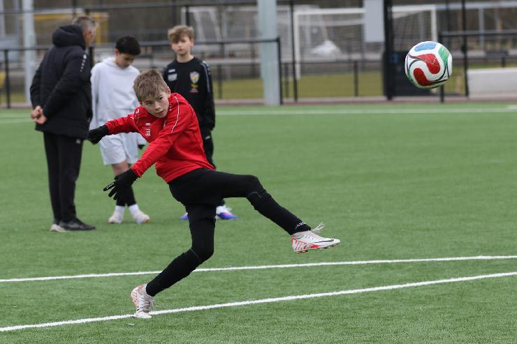 klik hier voor de originele foto (287kB - 1600x1068)